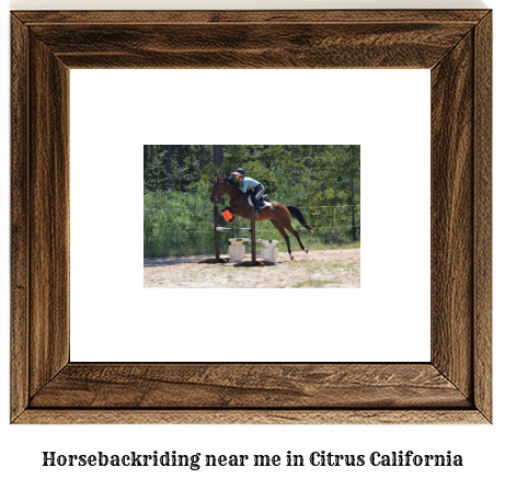 horseback riding near me in Citrus, California